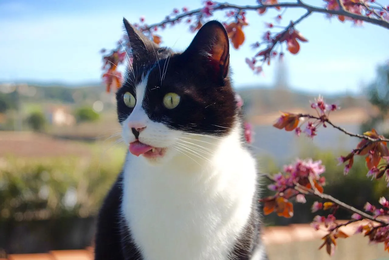 Le Mas Marguerite Arles