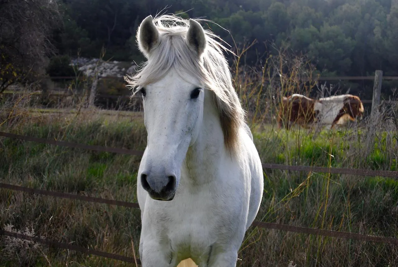 Le Mas Marguerite Arles 3*,  France