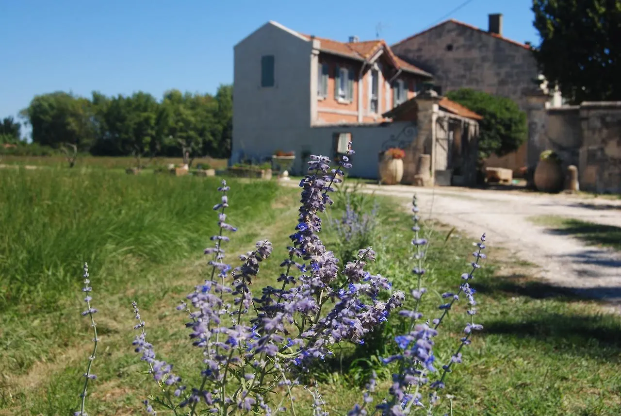 Le Mas Marguerite Αρλ